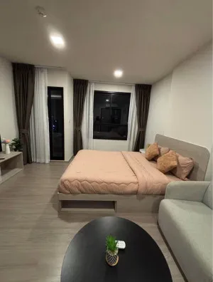 For Rent Condo , dcondo reef Phuket , Kathu , Kathu , Phuket , CX-177242