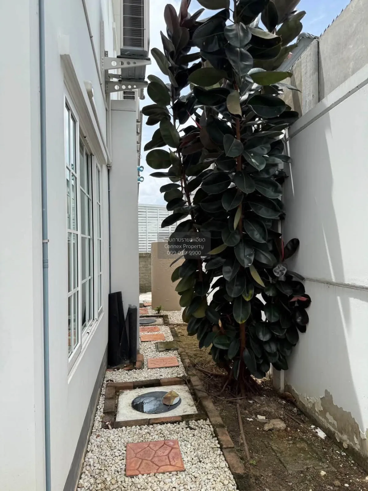 เช่าบ้าน  แกรนดิโอ บางนา กม.5 MRT-ศรีแบริ่ง (สายสีเหลือง) บางแก้ว