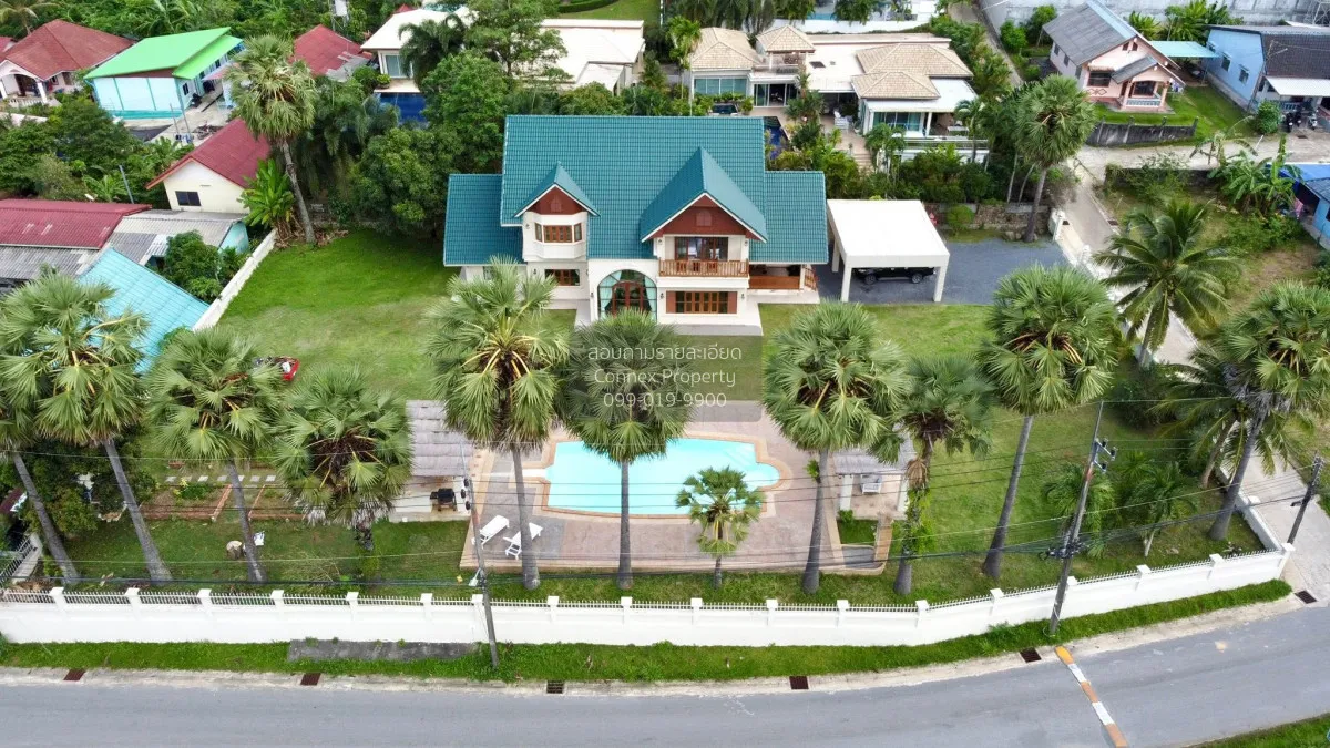 For Sale Rare Giant Palm Tree Retreat Villa in Chalong on Over 1  1