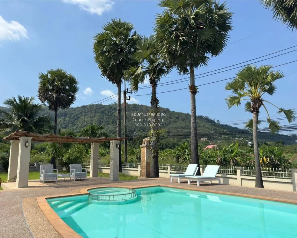 For Sale Rare Giant Palm Tree Retreat Villa in Chalong on Over 1  3