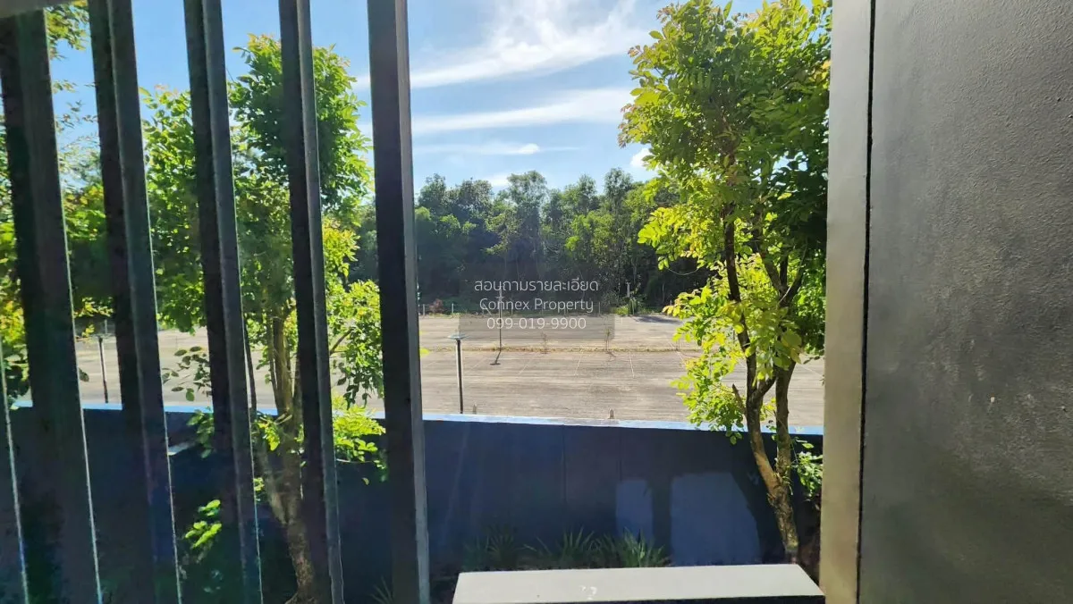 For Sale Condo , The Base Central - Phuket , Wichit , Mueang Phuk