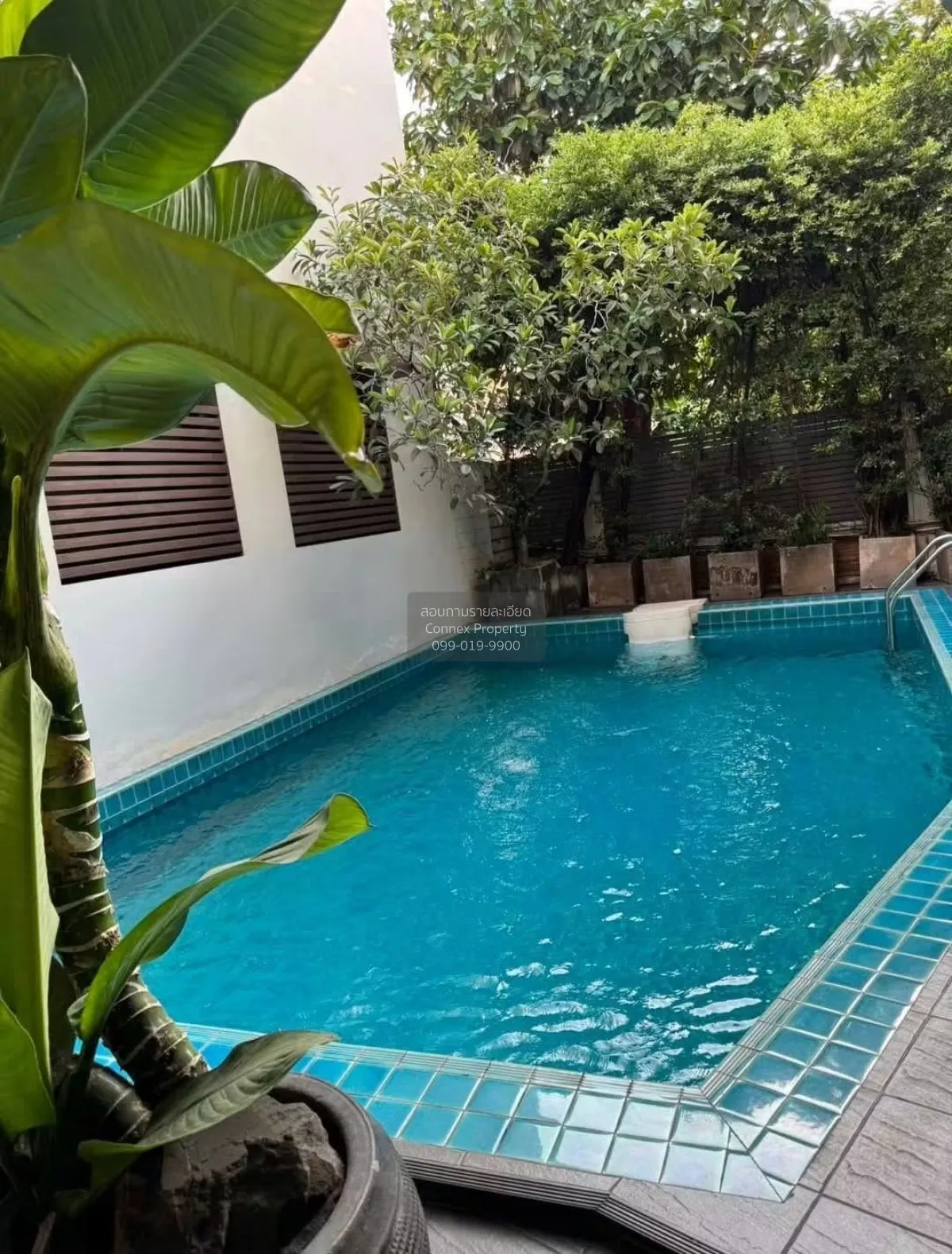 เช่าบ้าน  บ้าน ศศิดา คลองตัน เขต คลองเตย กรุงเทพ CX-178512