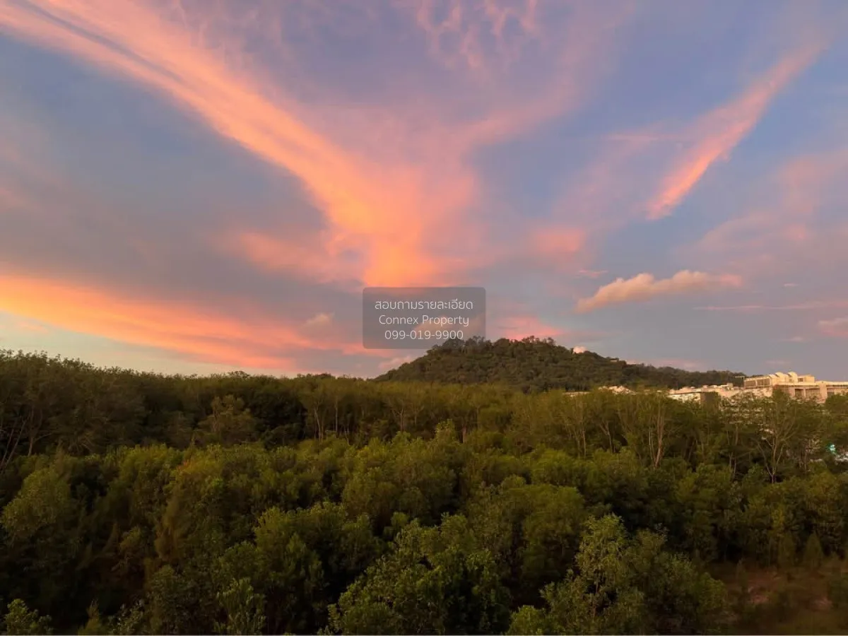 For Sale Condo , The Base Rise Phuket , Wichit , Mueang Phuket , 