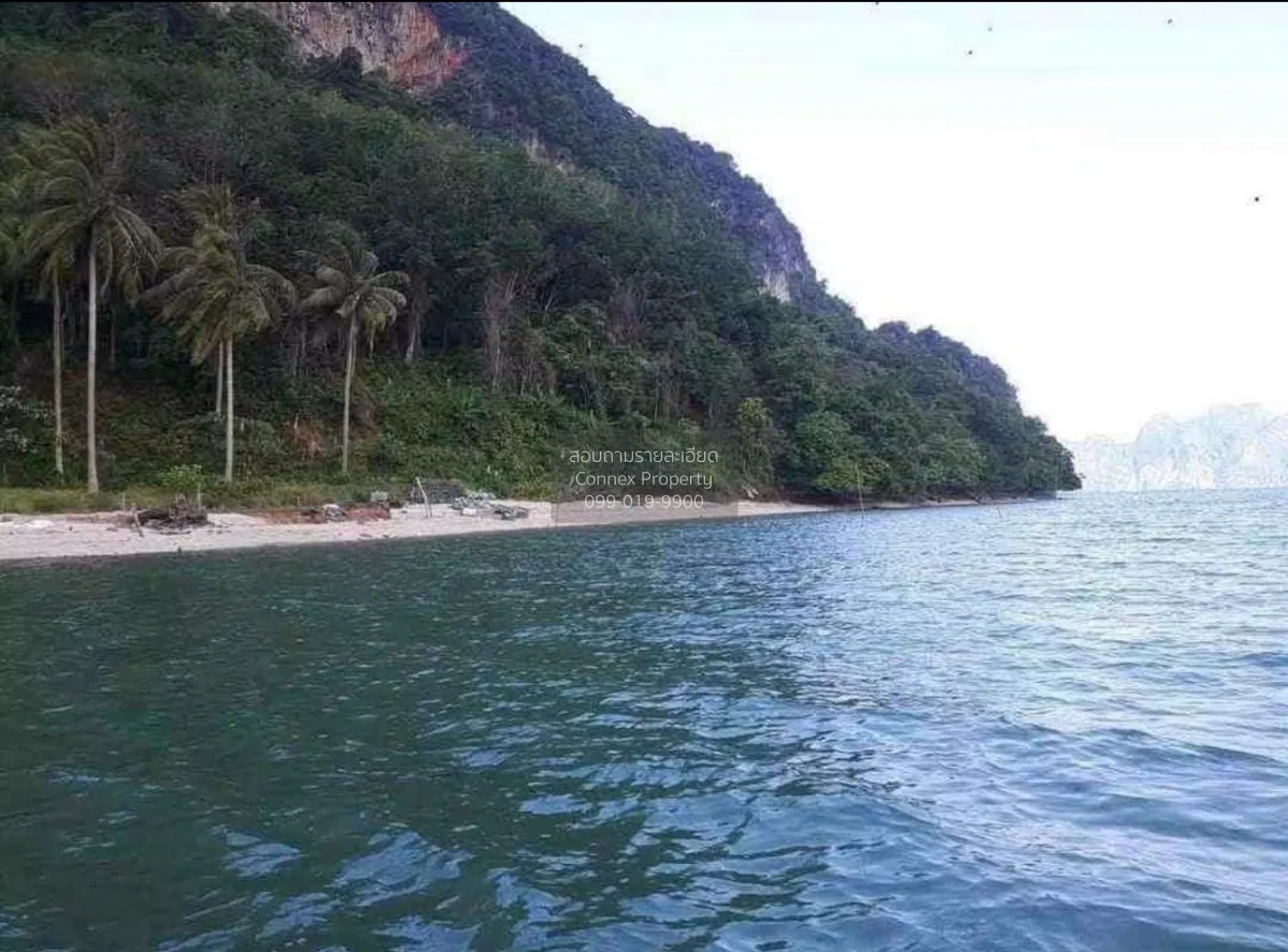 ขายเกาะส่วนตัว จ.พังงา คลองเคียน ตะกั่วทุ่ง พังงา CX-178786 1