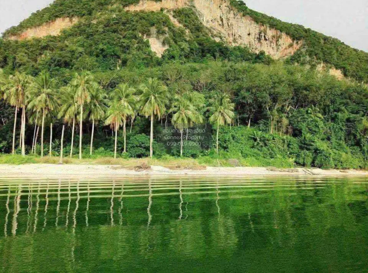 ขายเกาะส่วนตัว จ.พังงา คลองเคียน ตะกั่วทุ่ง พังงา CX-178786 2