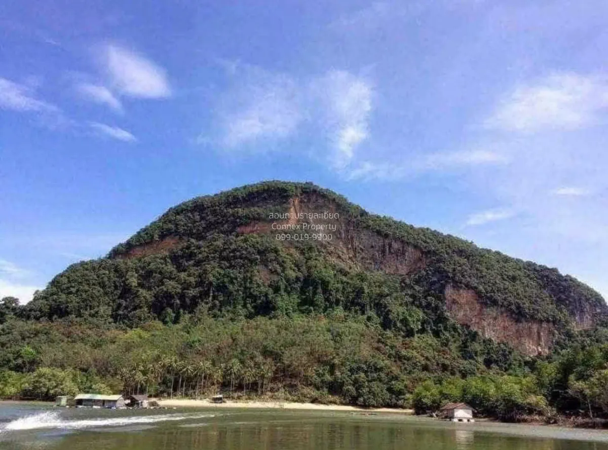 ขายเกาะส่วนตัว จ.พังงา คลองเคียน ตะกั่วทุ่ง พังงา CX-178786 3