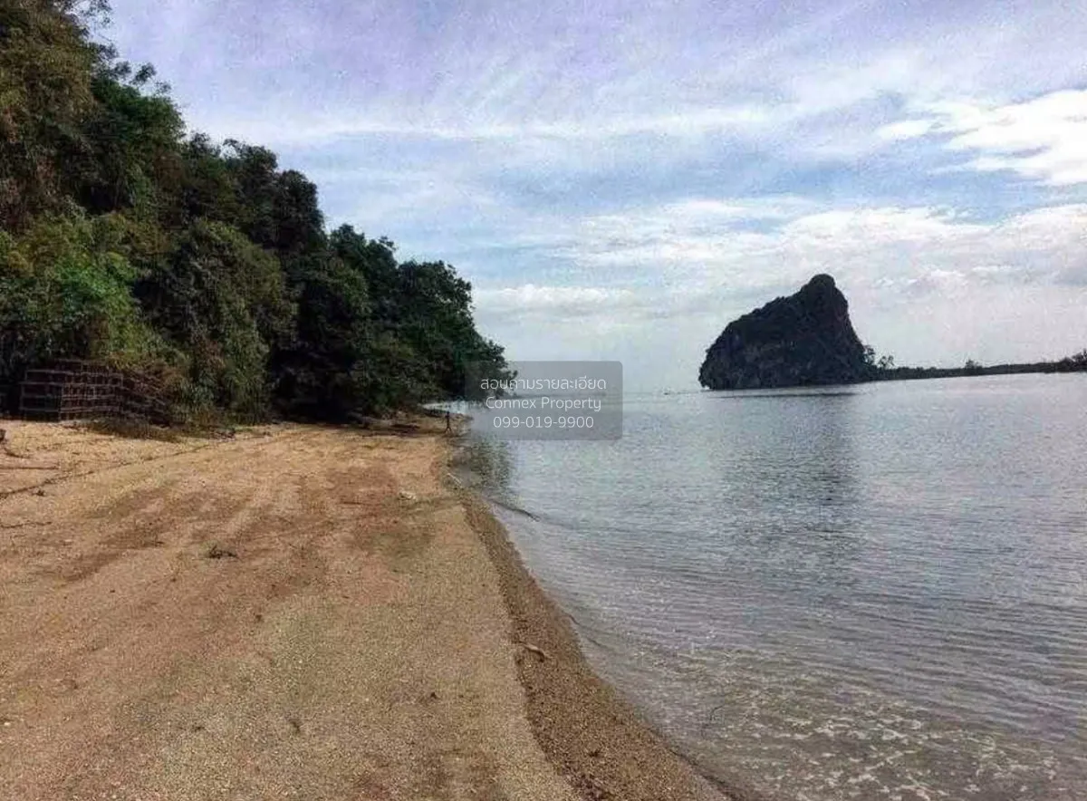 ขายเกาะส่วนตัว จ.พังงา คลองเคียน ตะกั่วทุ่ง พังงา CX-178786