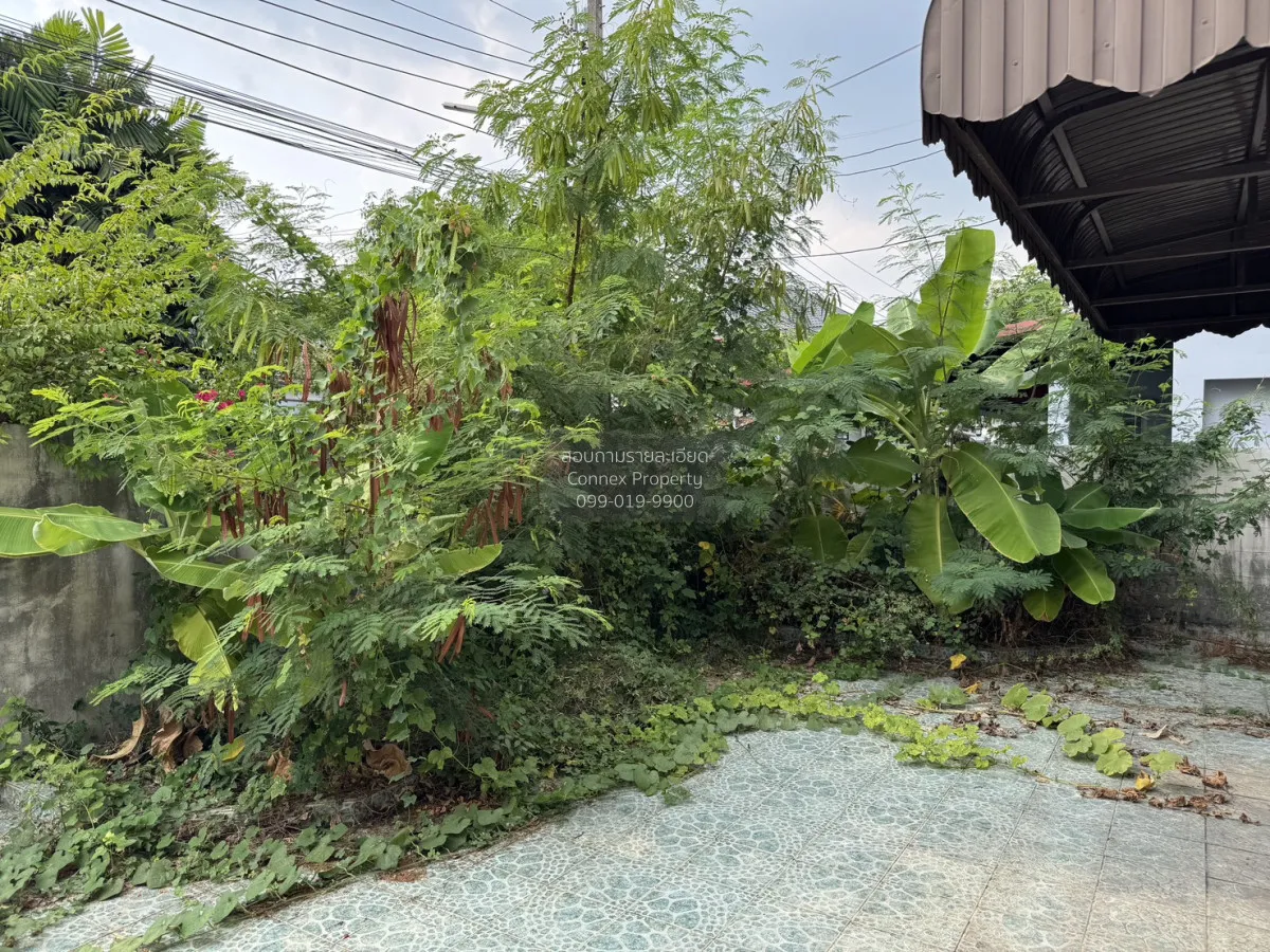 ขายบ้าน  หมู่บ้าน 2521 สวนผัก 44 ฉิมพลี เขต ตลิ่งชัน กรุงเทพ CX-1 4