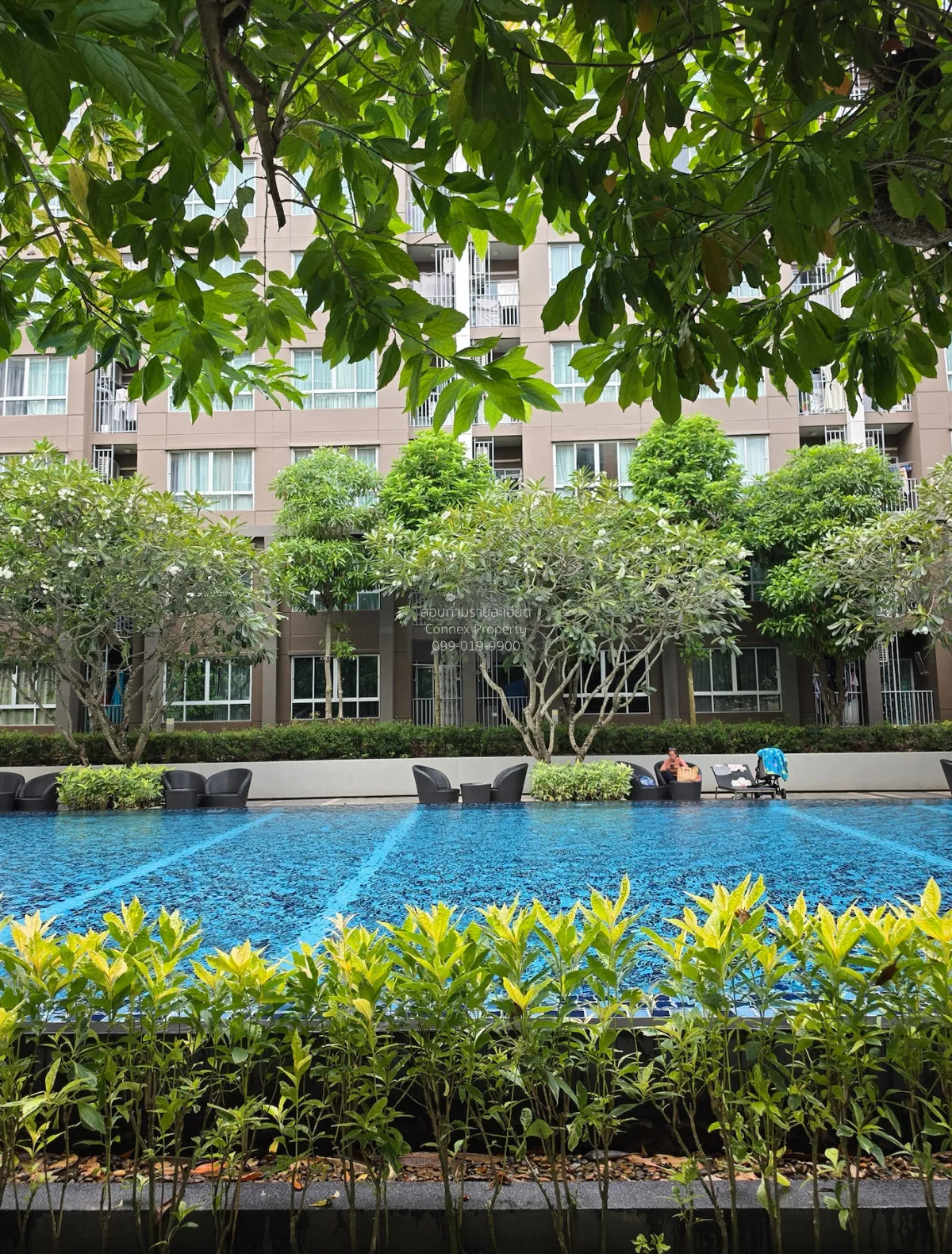 ขายคอนโด  ดีคอนโด แคมปัส รีสอร์ท กู้กู รัษฎา เมืองภูเก็ต ภูเก็ต C