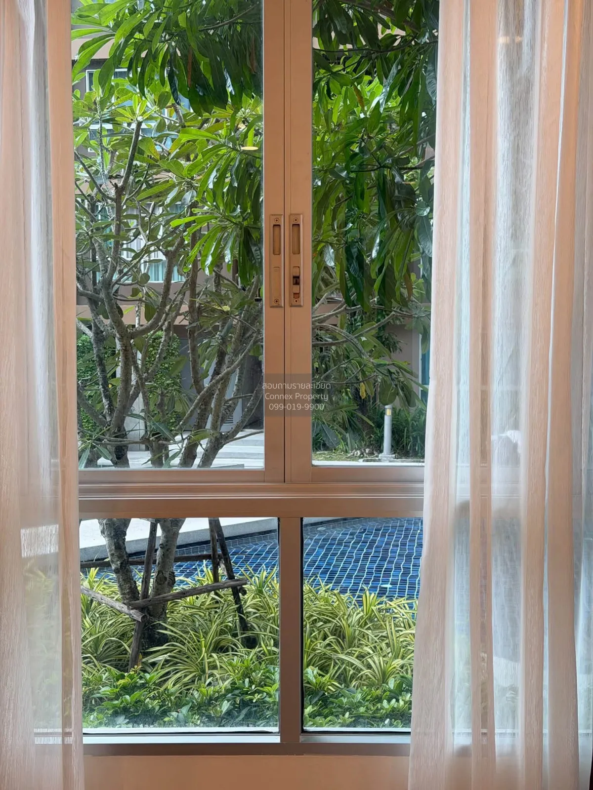 ขายคอนโด  ดีคอนโด ครีก ภูเก็ต กะทู้ กะทู้ ภูเก็ต CX-179348