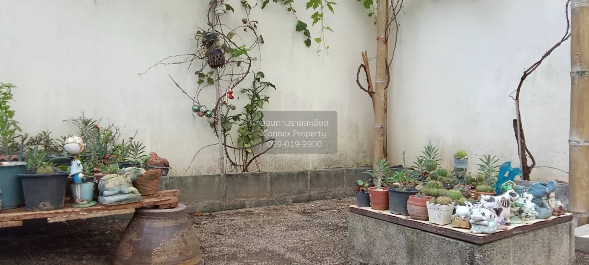 For Rent 5-Bedroom House with Unmatched Panoramic Views | Saiyuan