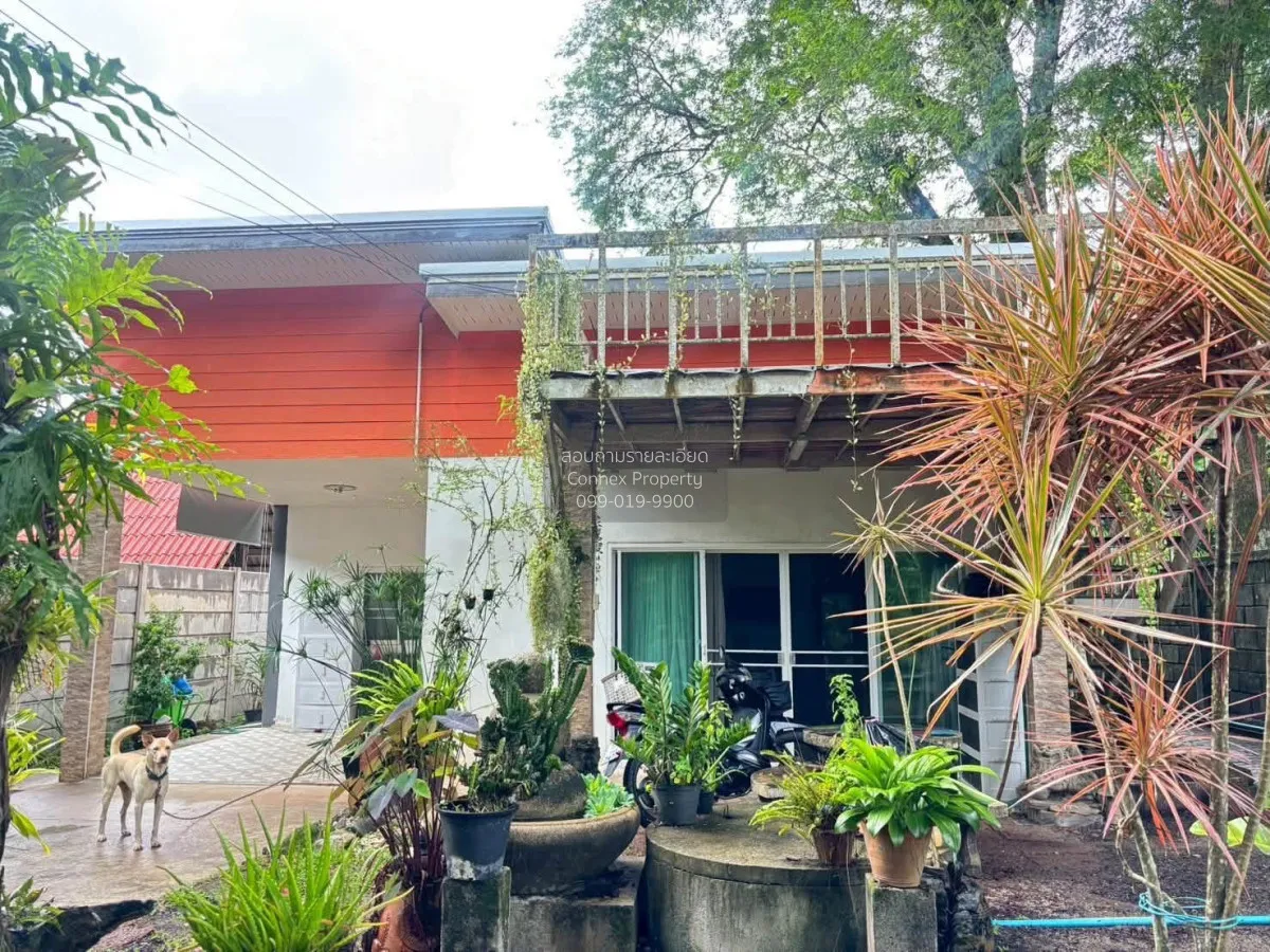 ขายบ้านพร้อมที่ดิน 3 ห้องนอน 2 ห้องน้ำ ซอยยามูภูเก็ต CX-179632 2