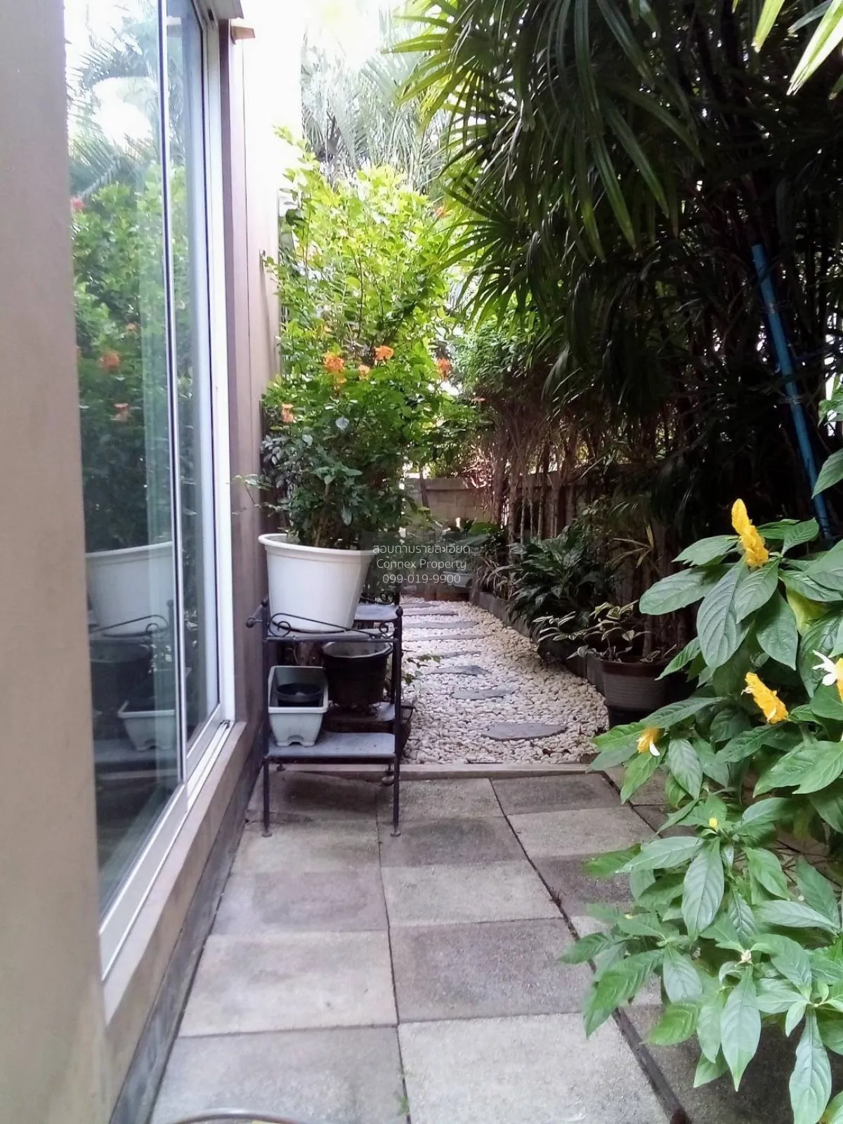 ขายบ้าน  โกลเด้น นีโอ ชัยพฤกษ์-วงแหวน ไทรน้อย ไทรน้อย นนทบุรี CX-