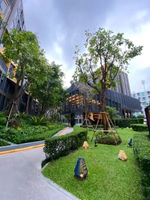 For Rent Condo , The Base Central - Phuket , Wichit , Mueang Phuket , Phuket , CX-179831