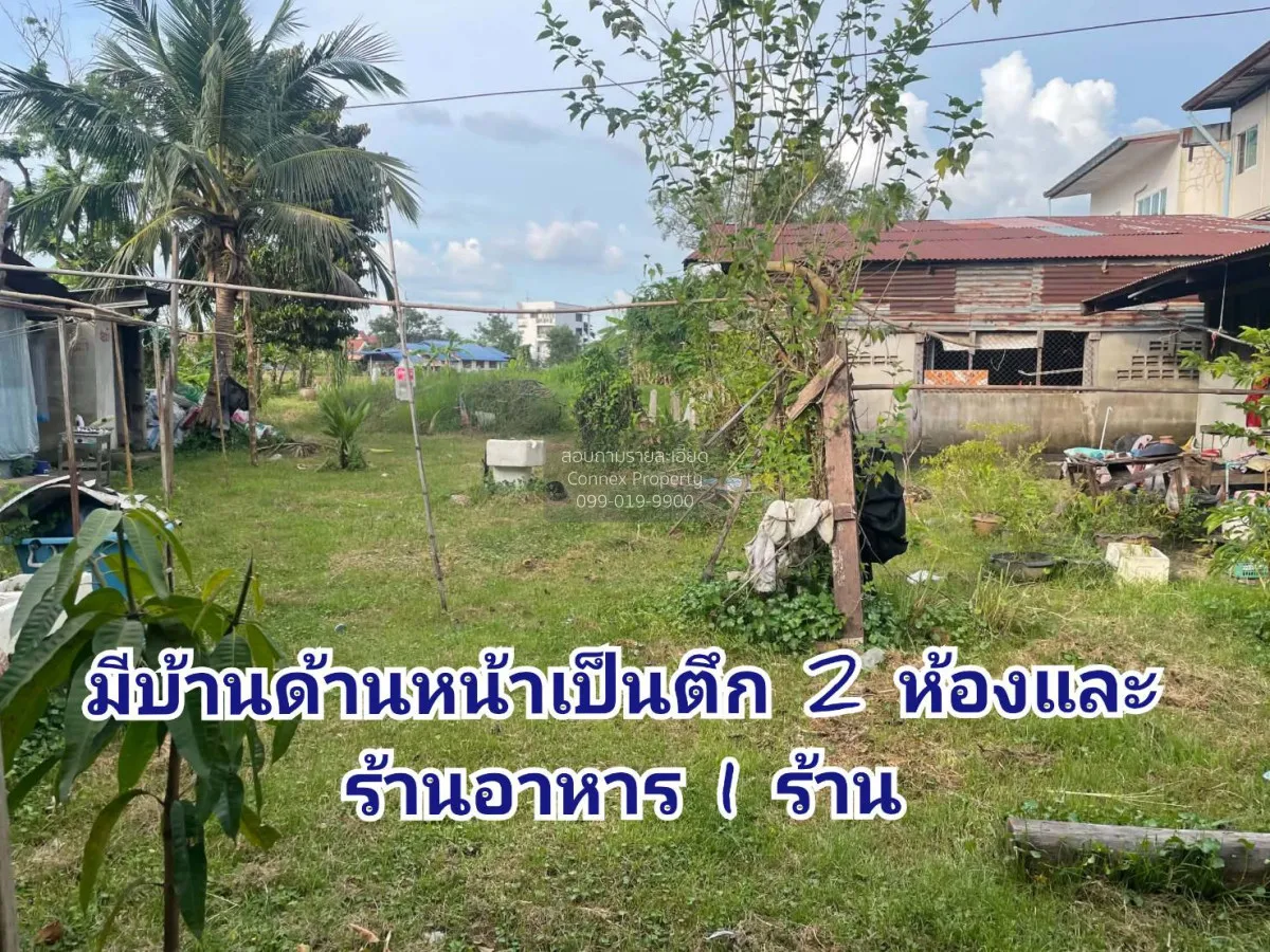 ขายที่ดิน 82 ตารางวา อุบลราชธานี เมืองเดช เดชอุดม อุบลราชธานี CX- 2