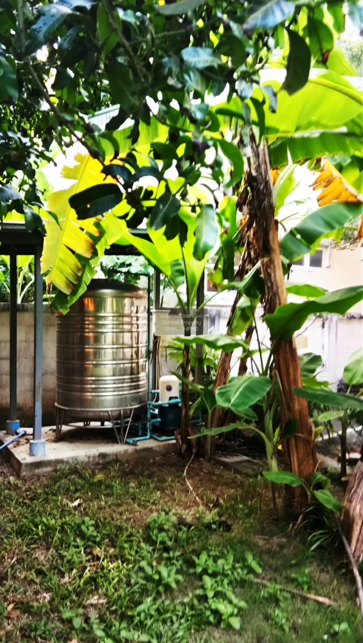 ขายบ้าน  ชัยพฤกษ์ บางขุนเทียน แสมดำ เขต บางขุนเทียน กรุงเทพ CX-18 2