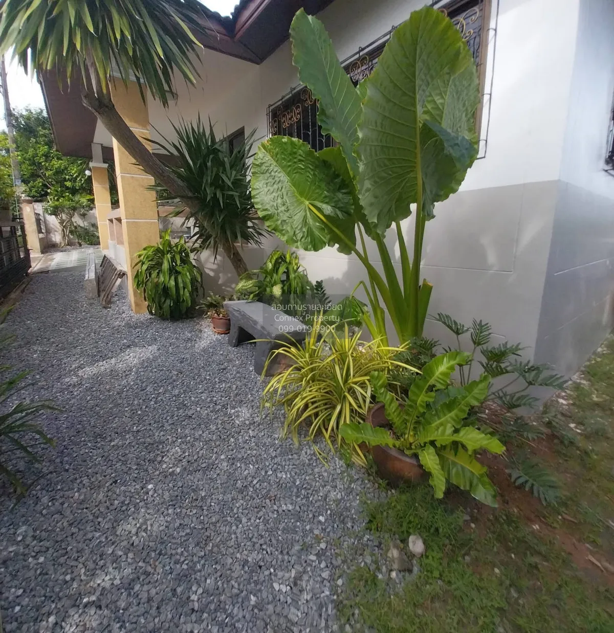 เช่าบ้าน  หมู่บ้าน บ้านสวนเนรมิต 5 ศรีสุนทร ถลาง ภูเก็ต CX-181156