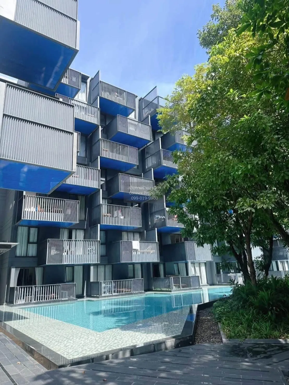 For Rent Condo , THE DECK PATONG , Patong , Kathu , Phuket , CX-1