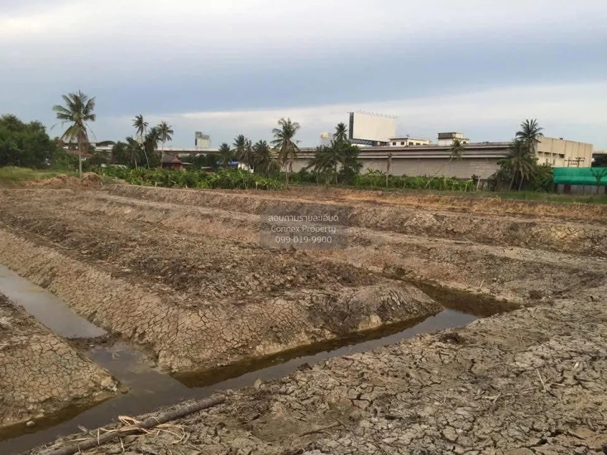 For Sale land 2 Rai 3 Ngan 14.9 Square Wah Bang Rak Yai Bang Bua  1