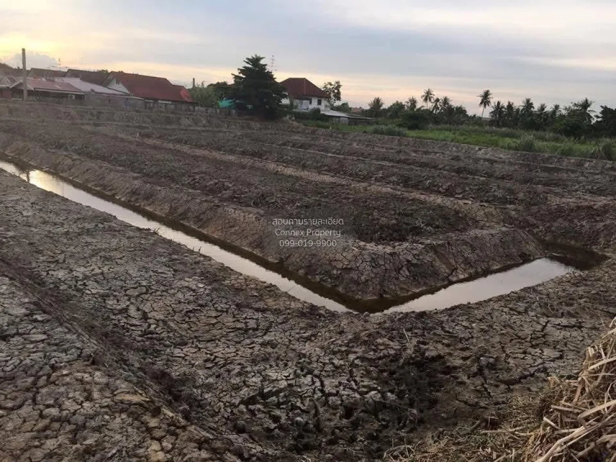 For Sale land 2 Rai 3 Ngan 14.9 Square Wah Bang Rak Yai Bang Bua  2