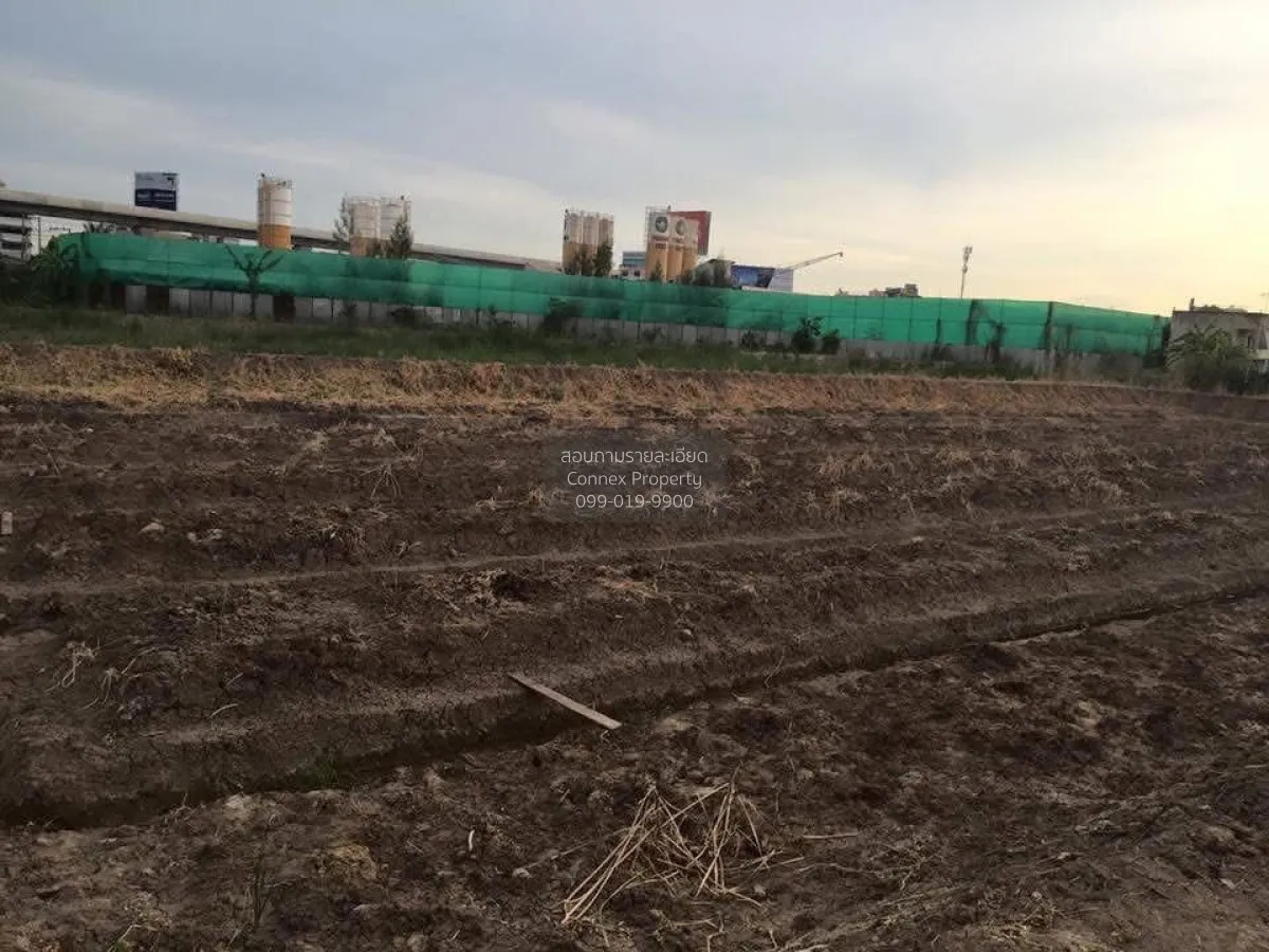 For Sale land 2 Rai 3 Ngan 14.9 Square Wah Bang Rak Yai Bang Bua  3