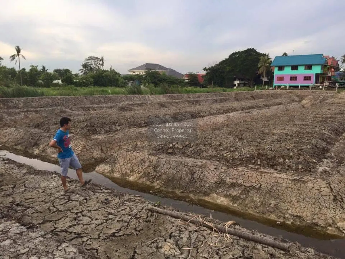 For Sale land 2 Rai 3 Ngan 14.9 Square Wah Bang Rak Yai Bang Bua  4