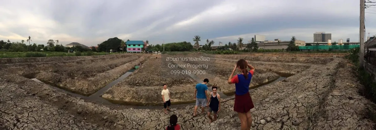 For Sale land 2 Rai 3 Ngan 14.9 Square Wah Bang Rak Yai Bang Bua 