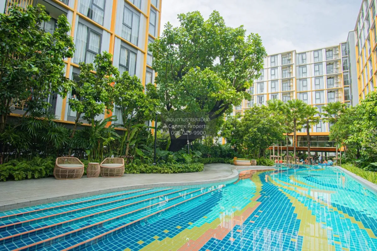 For Rent Condo , The Base Rise Phuket , Wichit , Mueang Phuket , 