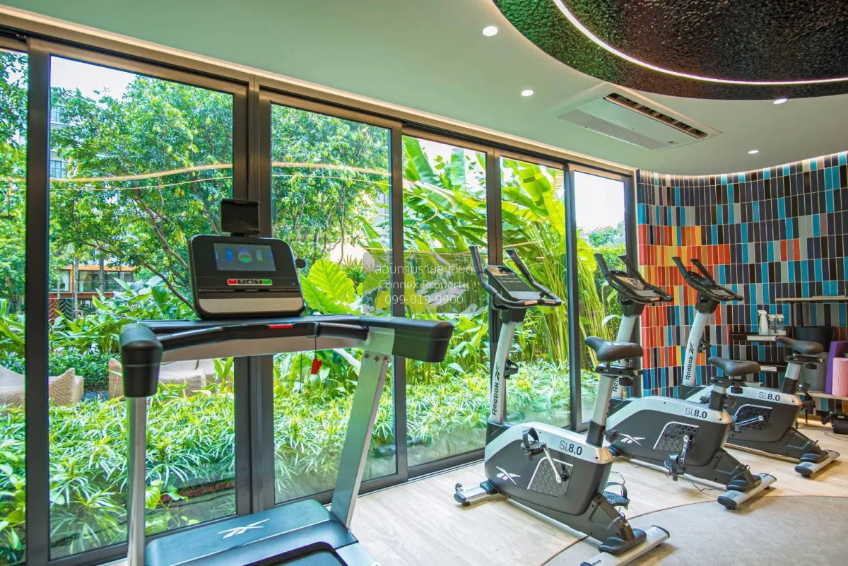 For Rent Condo , The Base Rise Phuket , Wichit , Mueang Phuket , 