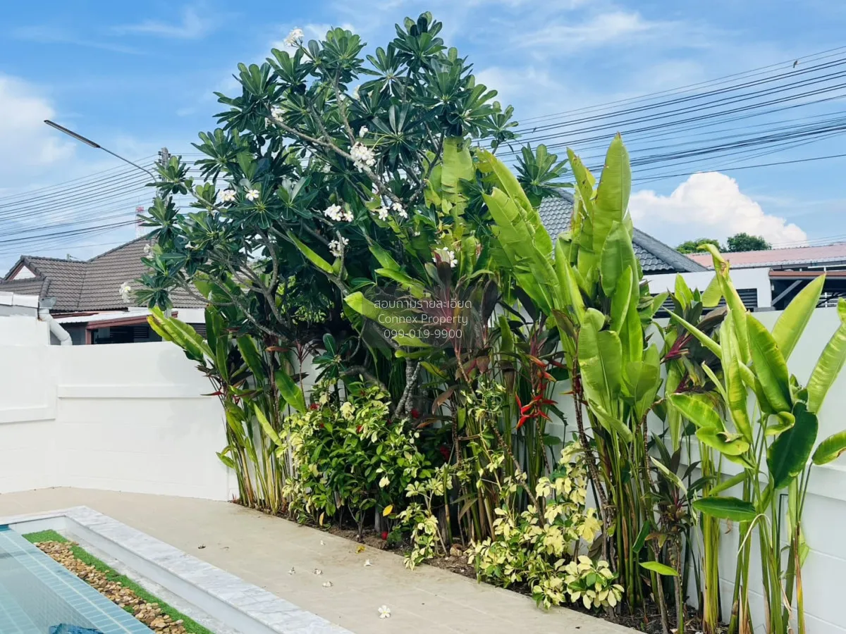 ขายพูลวิลล่า ฉลอง ฉลอง เมืองภูเก็ต ภูเก็ต CX-181581