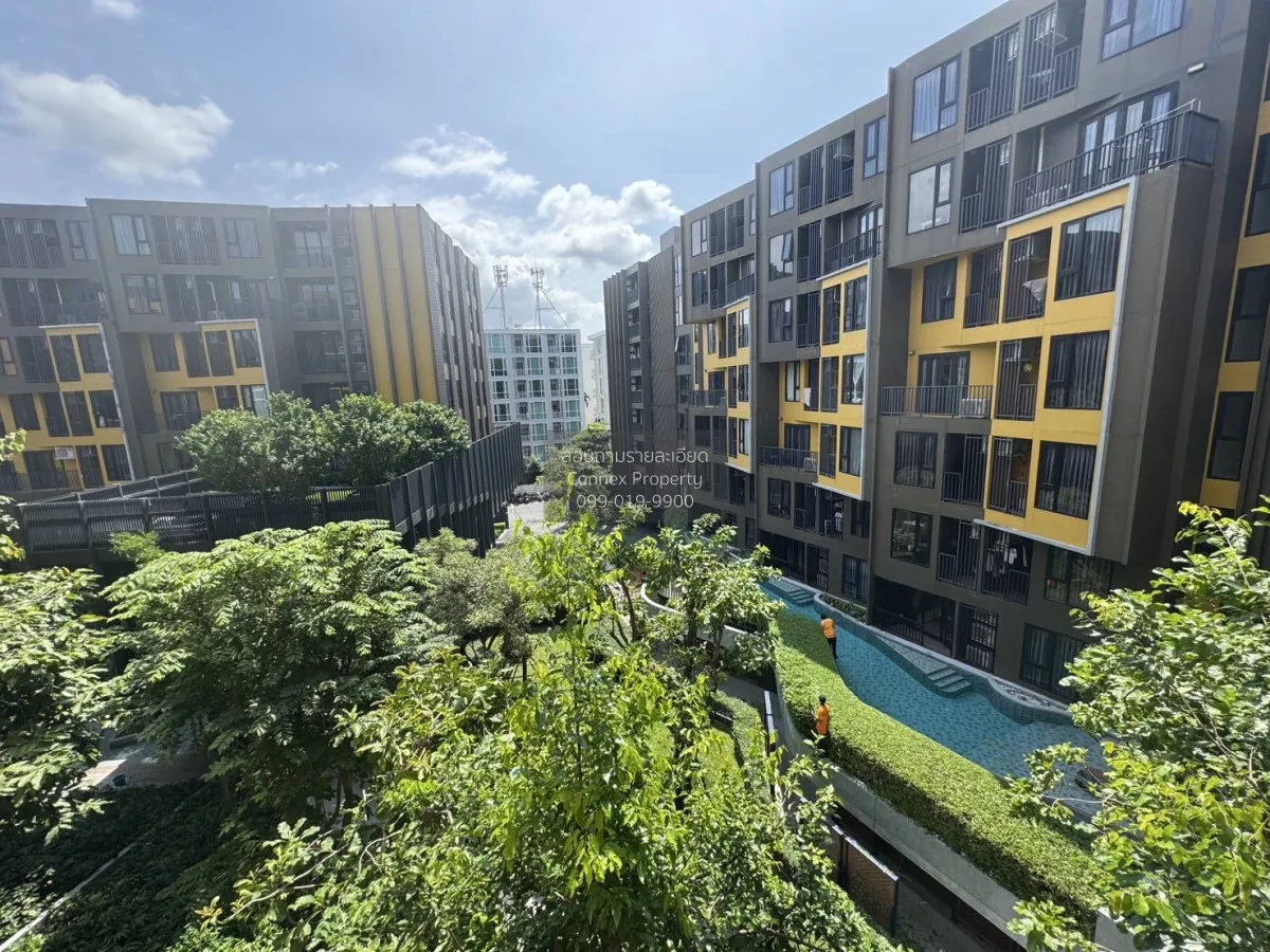 For Rent Condo , The Base Central - Phuket , Wichit , Mueang Phuk