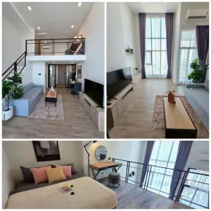 For Rent Condo , Modiz Sukhumvit 50 , Duplex , corner unit , BTS-On Nut , Phra Khanong , Khlong Toei , Bangkok , CX-181964