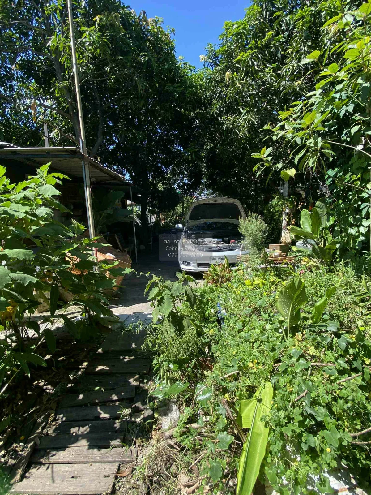 ขายที่ดินเปล่า บางเลน บางใหญ่ นนทบุรี CX-183762 1