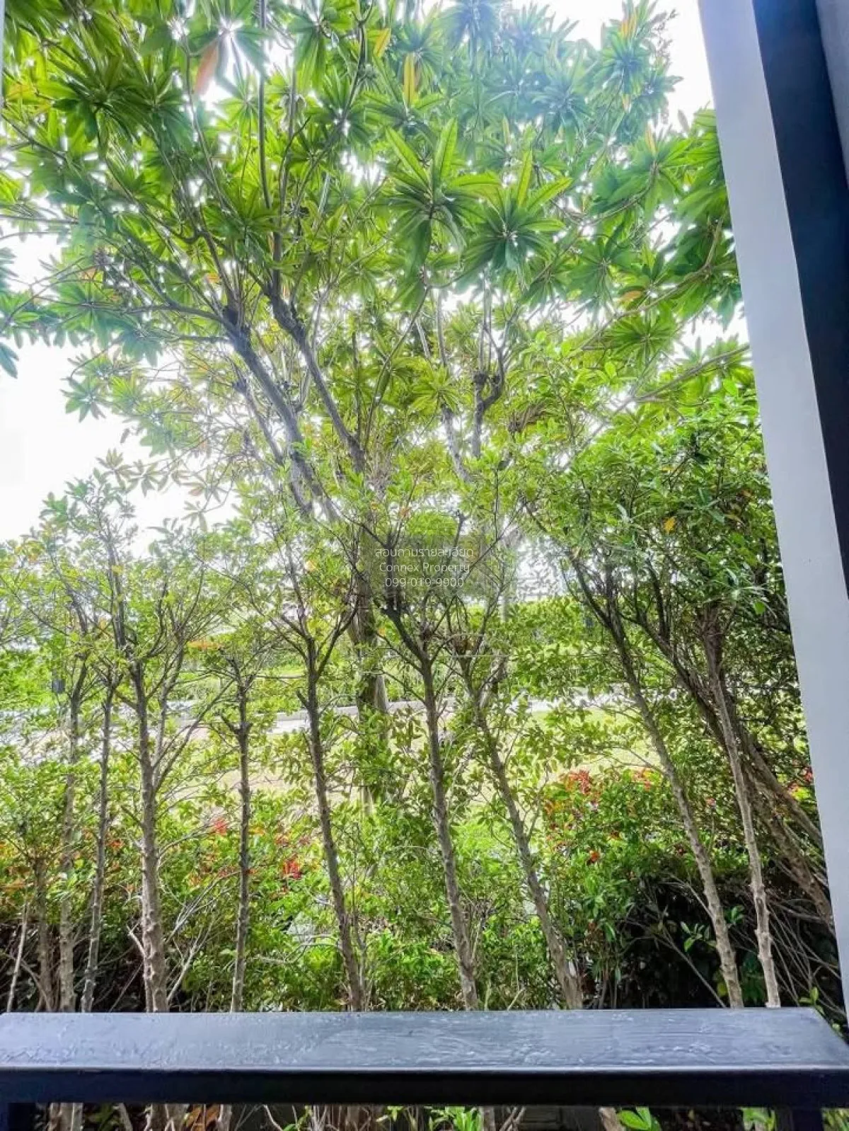 For Sale Condo , Supalai Loft @ Talat Phlu Station , BTS-Talat Ph