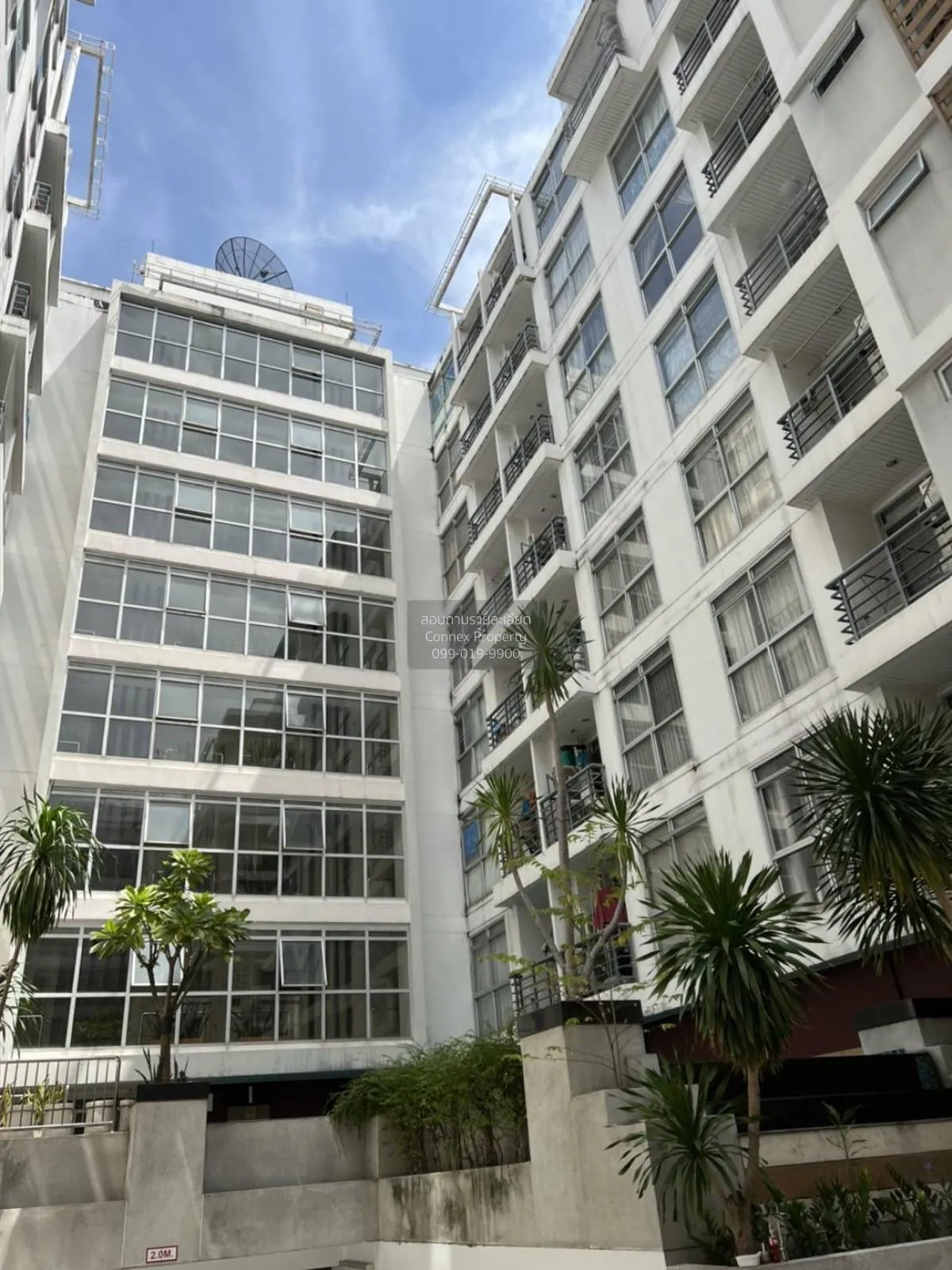 For Sale Condo , The Link Sukhumvit 50 , BTS-On Nut , Phra Khanon