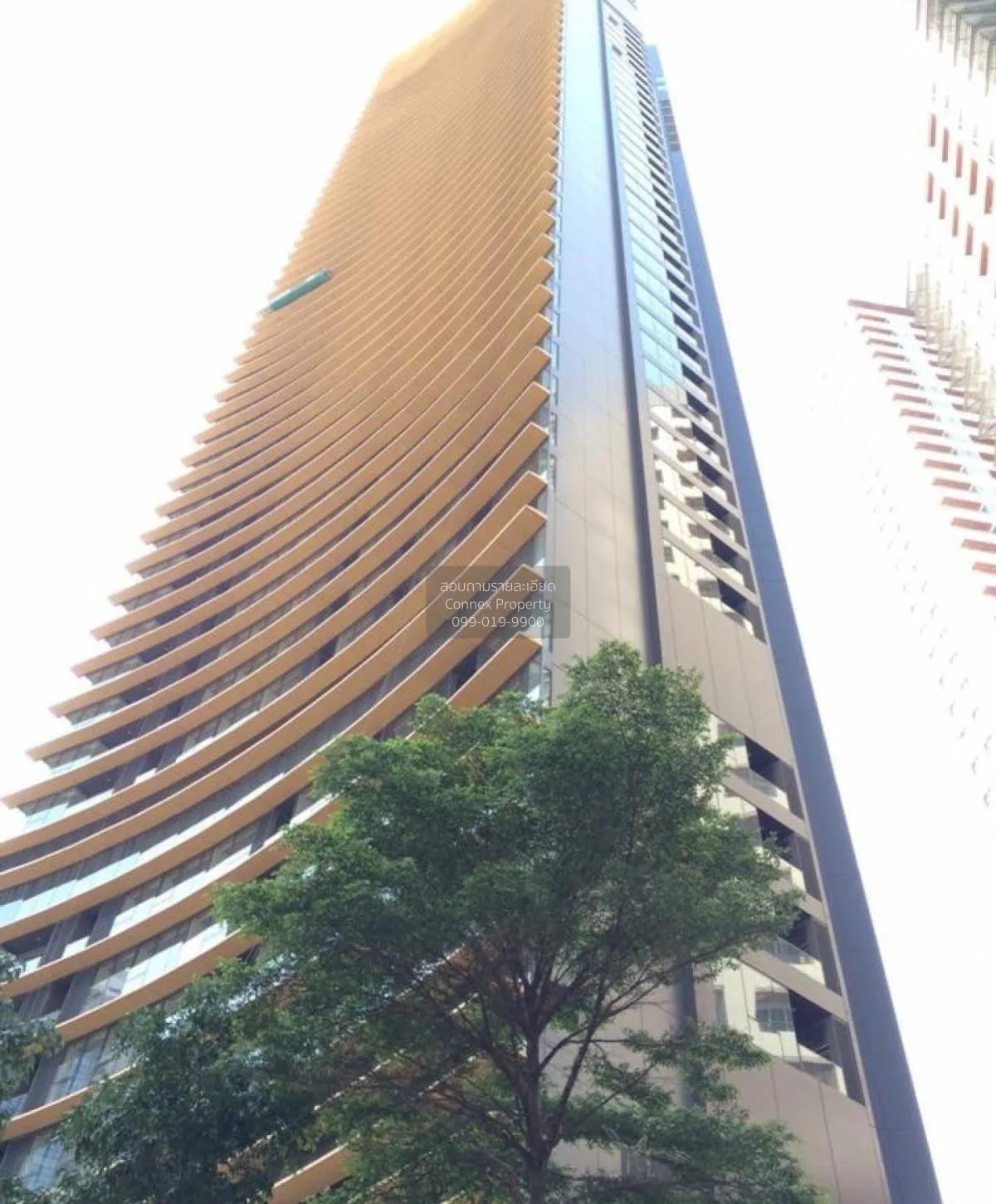 เช่าคอนโด  เดอะ ลุมพินี 24 BTS-พร้อมพงษ์ คลองตัน เขต คลองเตย กรุง