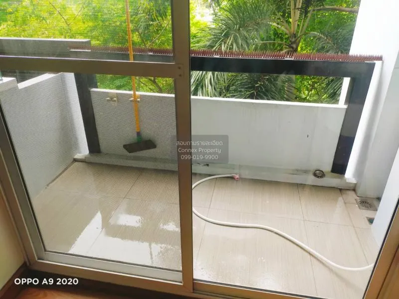 เช่าคอนโด  เดอะ เน็กซ์ สุขุมวิท 52 BTS-อ่อนนุช บางจาก เขต พระโขนง