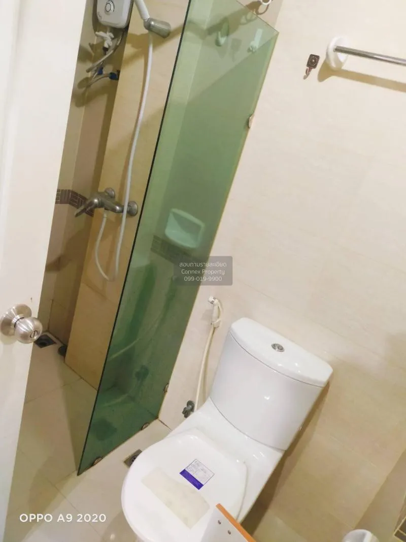 เช่าคอนโด  เดอะ เน็กซ์ สุขุมวิท 52 BTS-อ่อนนุช บางจาก เขต พระโขนง