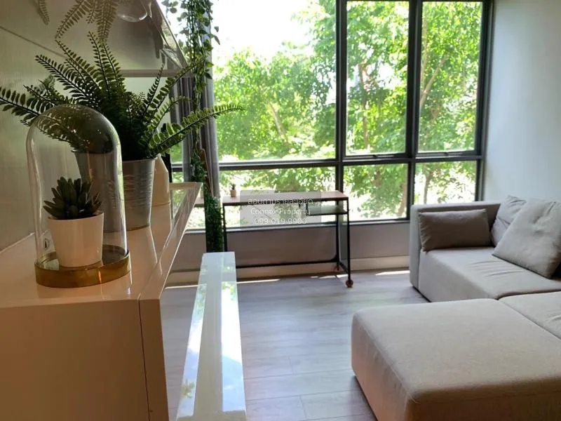 เช่าคอนโด  เดอะ รูม สุขุมวิท 40 BTS-ทองหล่อ พระโขนง เขต คลองเตย ก 2