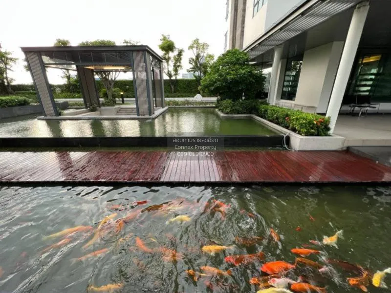 FOR RENT condo , The Room Sukhumvit 62 , BTS-Punnawithi , Bang Ch