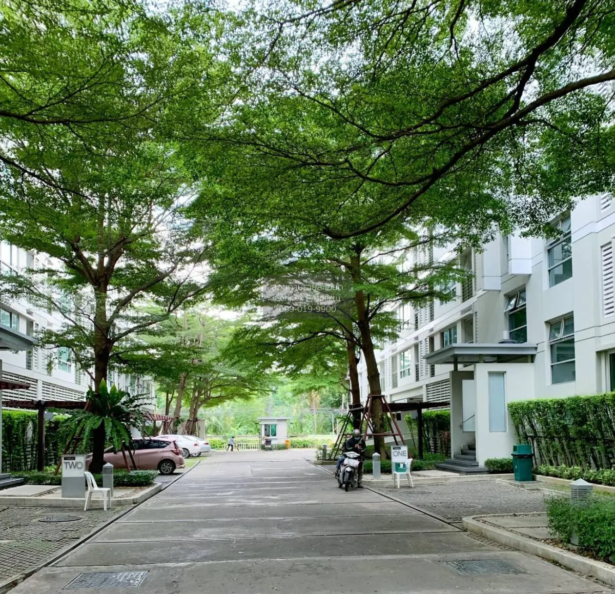 เช่าคอนโด  เดอะรูม สุขุมวิท79 BTS-อ่อนนุช พระโขนงเหนือ เขต วัฒนา 