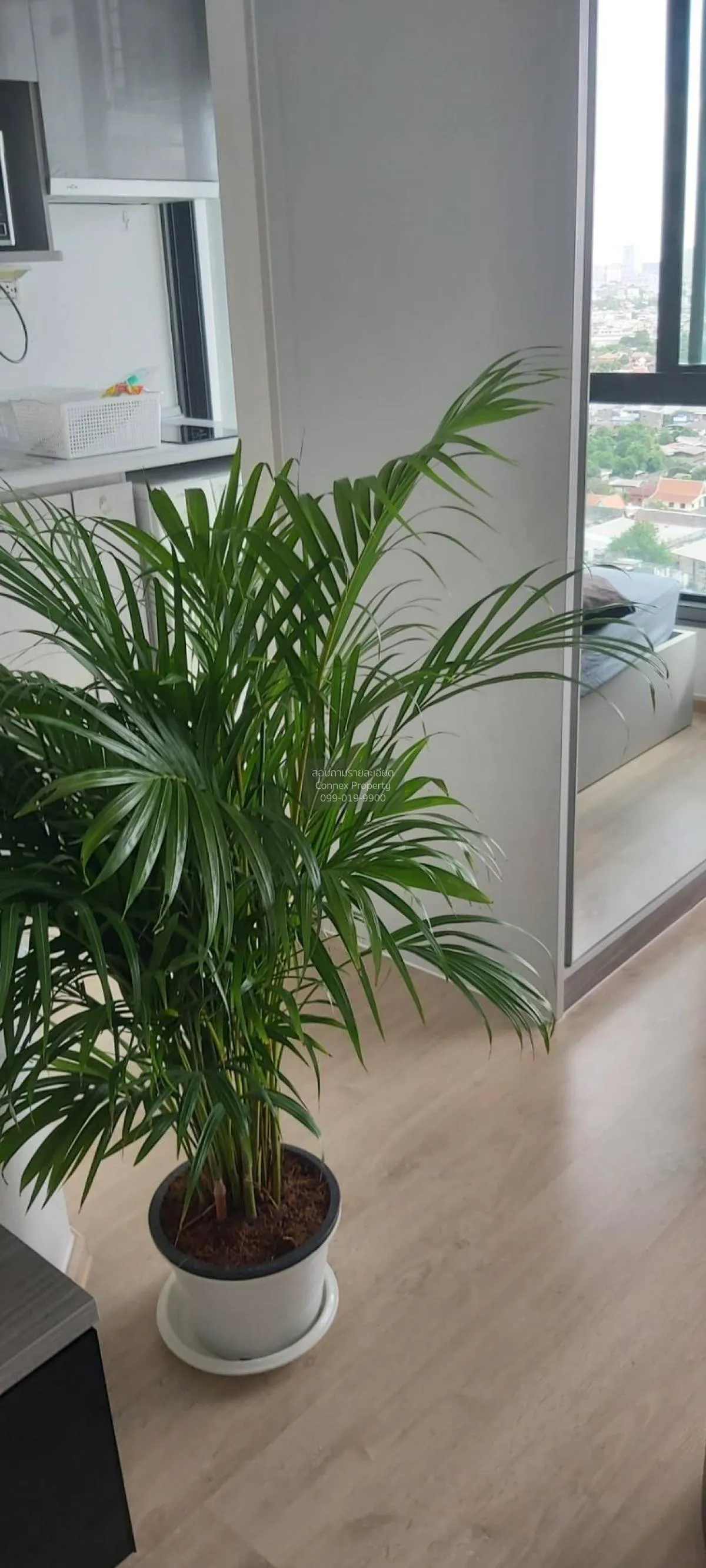 เช่าคอนโด  ไอดีโอ สาทร - ท่าพระ BTS-โพธิ์นิมิตร บุคคโล เขต ธนบุรี