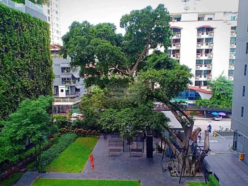 เช่าคอนโด  เดอะ ซี้ด มิงเกิล MRT-ลุมพินี ทุ่งมหาเมฆ เขต สาทร กรุง