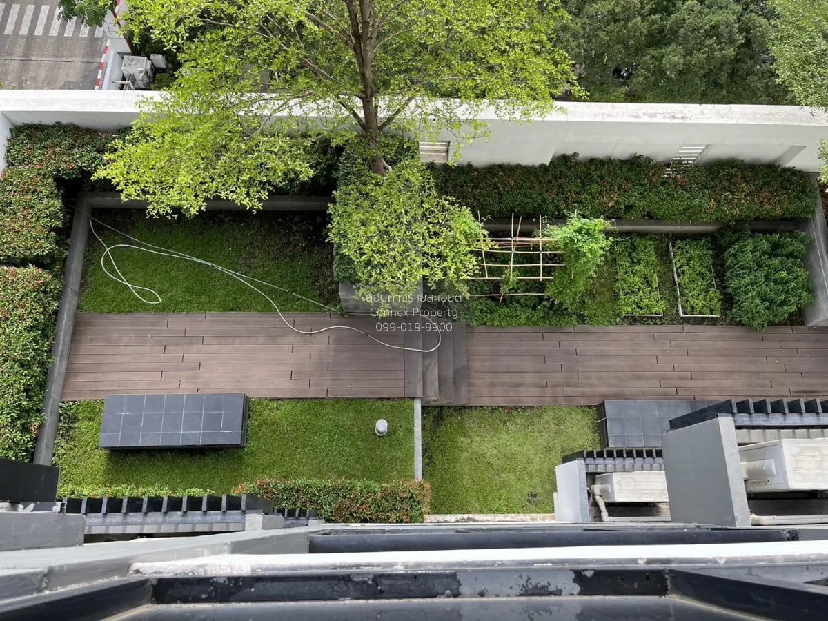 เช่าคอนโด  ไอวี่ แอมพิโอ MRT-ศูนย์วัฒนธรรมแห่งประเทศไทย ห้วยขวาง 