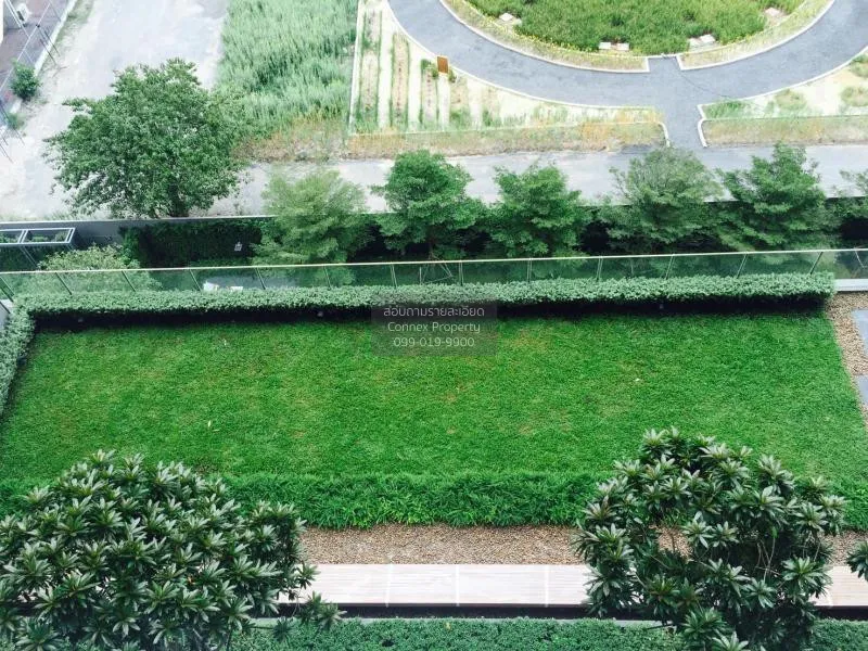 FOR RENT condo , Noble Revolve Ratchada , MRT-Thailand Cultural C