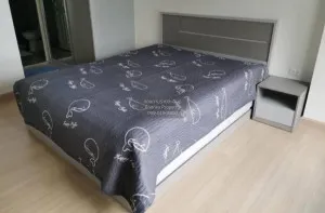 FOR RENT condo , Supalai Veranda Rama 9 , MRT-Phra Ram 9 , Bang Kapi , Huai Khwang , Bangkok , CX-43305