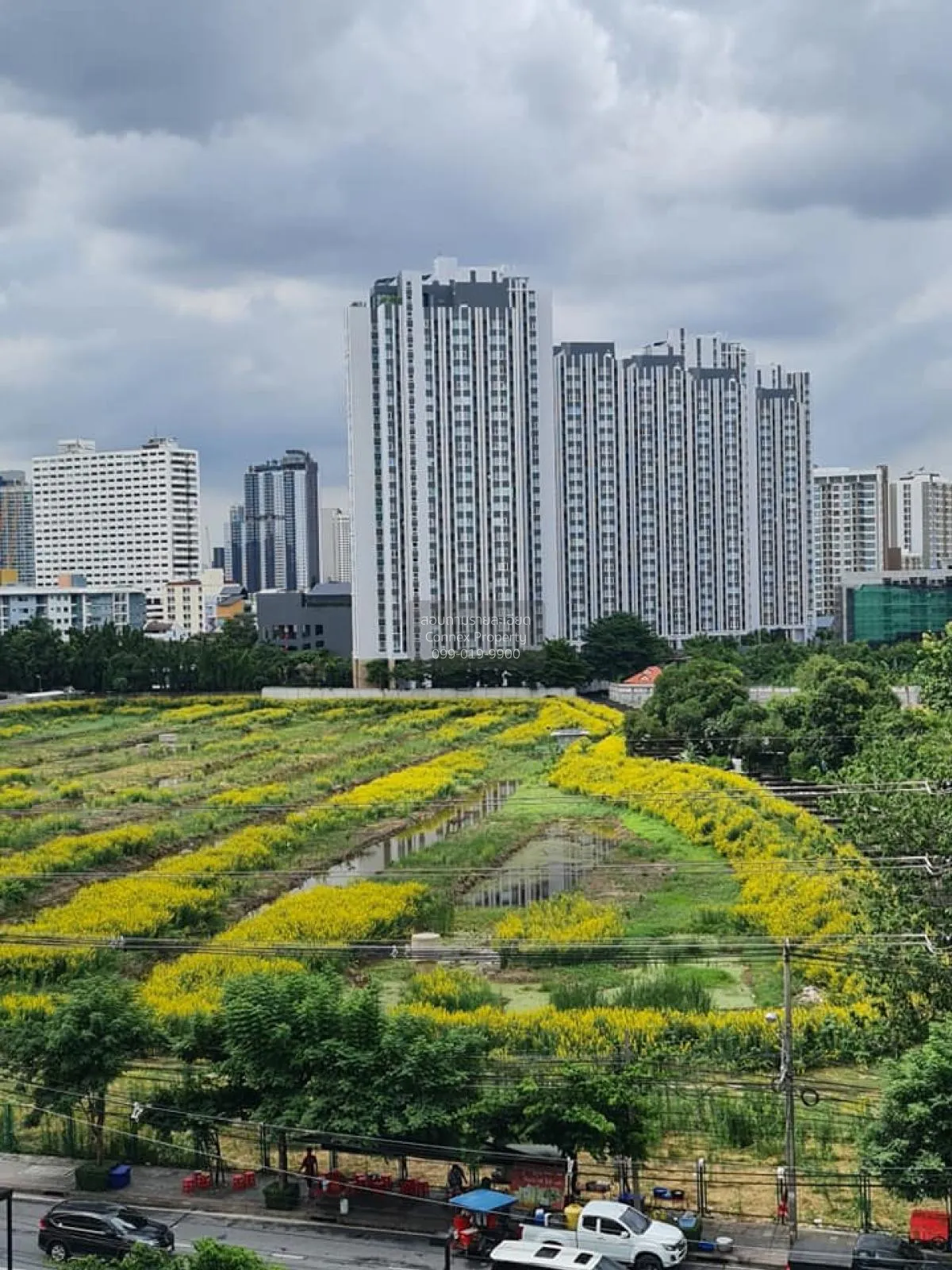 FOR RENT condo , Supalai Wellington , MRT-Thailand Cultural Centr