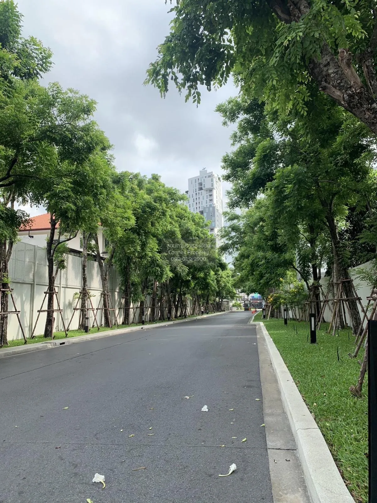 FOR RENT condo , The Room Ratchada - Ladprao , MRT-Lat Phrao , La