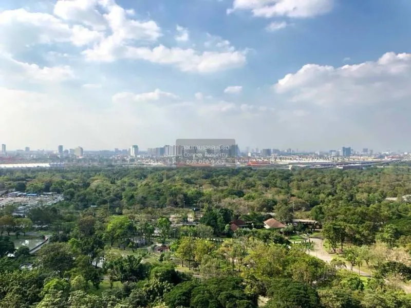 เช่าคอนโด  เดอะไลน์ จตุจักร BTS-หมอชิต จอมพล  เขต จตุจักร กรุงเทพ