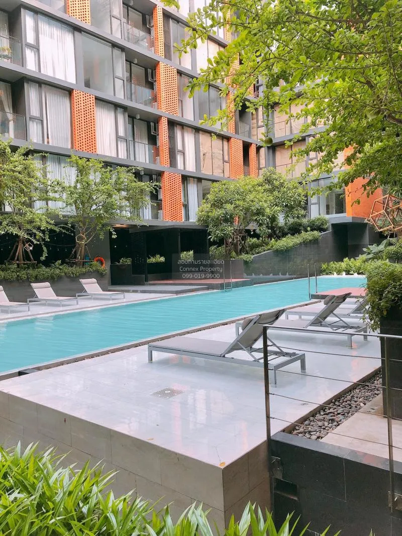 FOR RENT condo , Quintara Treehaus Sukhumvit 42 , nice view , BTS